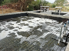 香蕉爱视频免费滲濾液處理工藝